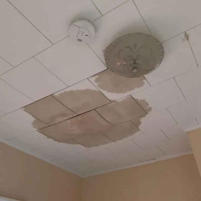 Ceiling Water Damage Repair in Quitman County, GA