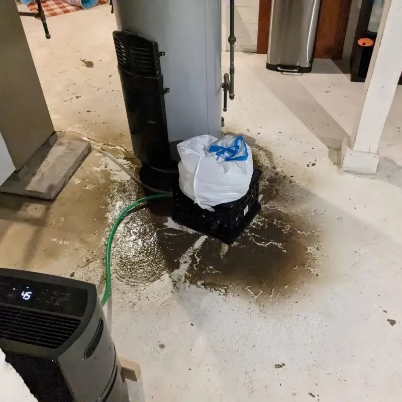 Sewage Backup Cleanup Service in Quitman County, GA